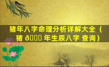 猪年八字命理分析详解大全（猪 🐒 年生辰八字 查询）